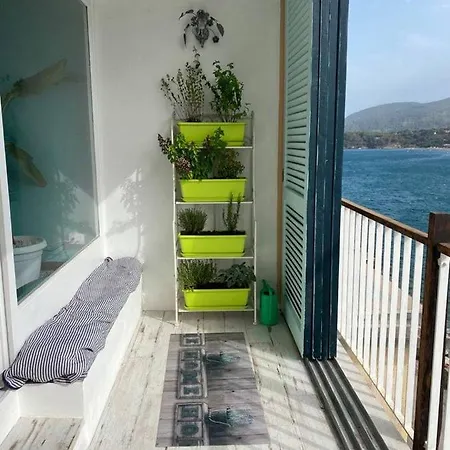 Residenza Il Moletto *